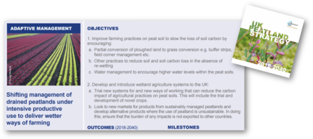 Shifting management of drained peatlands under intensive productive use to deliver wetter ways of farming
