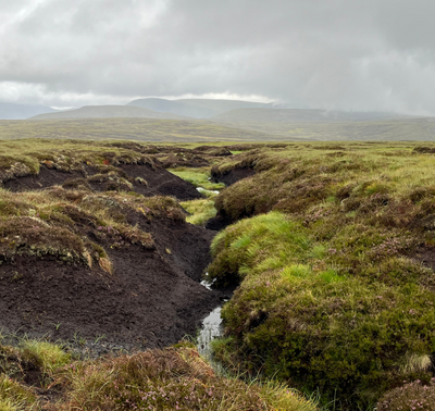 Eroded peat gully