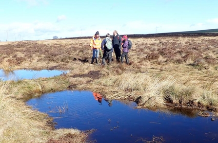 Group of people inspecting a series of peat dams along a ditch. The peat dams are working well as pools of water can be seen holding back the water.