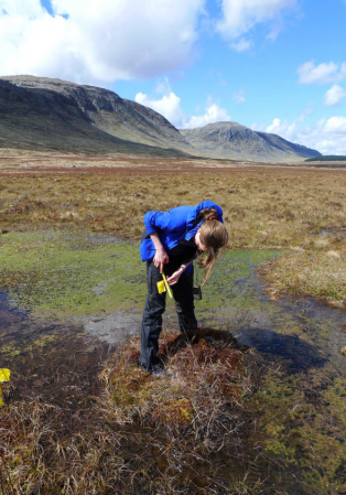 Person conducting research on a peatland