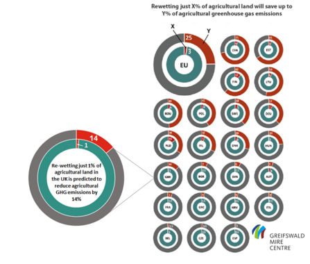 Re-wetting just 1% of agricultural land in the UK is predicted to reduce agricultural GHG emissions by14%