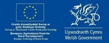 Welsh Peatlands SMS logo