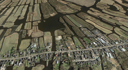 Aerial image of wetlands