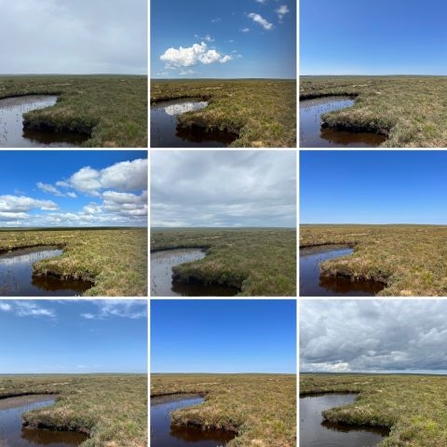 Series of fixed point photographs showing vegetation colour changes between June and September 2023. Credit Dr. Scott Davidson 