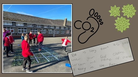 Primary school pupils in Wales