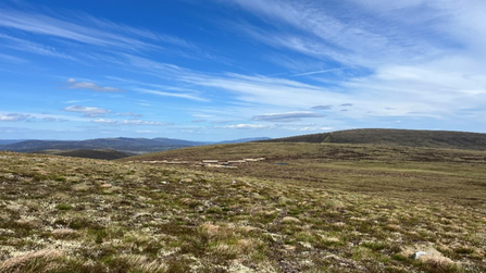 Abernethy