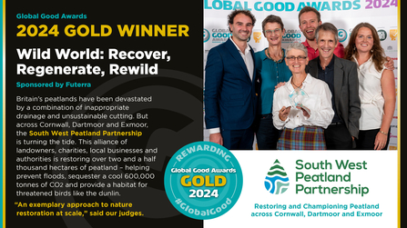 Global good awards 2024 winners SWPP