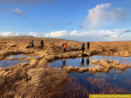 Five people walking alongside bog pools as part of a field visit.