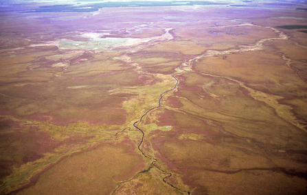 Blanket mire mosaic of blanket bog and fen, Caithness.