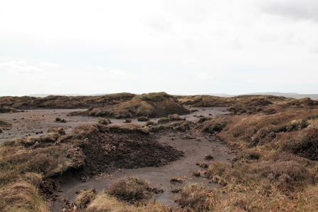 Large area of bare peat on moorland