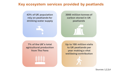 Infographic highlighting four ecosystem services provided by peatlands.
