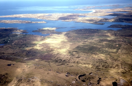 Aerial view of peatlands in the Falklands
