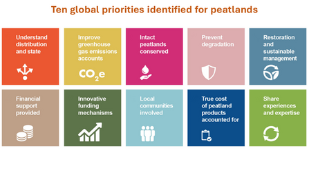 Coloured infographic showing ten global identified priorities for peatlands