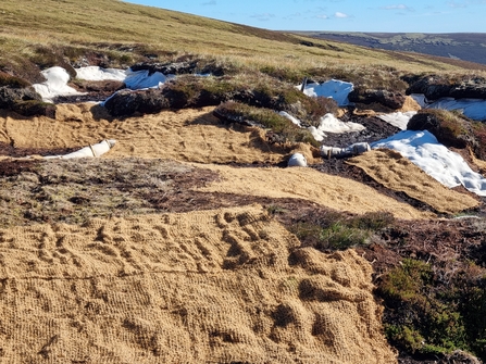 Coir mats on an upland peatland site.