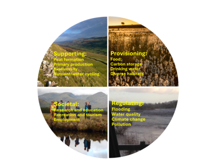Infographic showing four benefits of sustainable management of peatlands