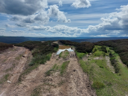 Tracks through peatlands caused by four-wheel drive vehicles.
