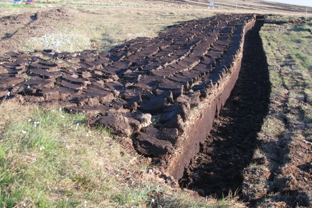 Peat bricks drying at a hand-cut peatland site.