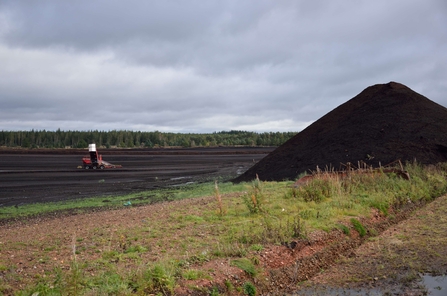 Mechanical equipment extracting peat from a site. Heap of extracted peat in the foreground.