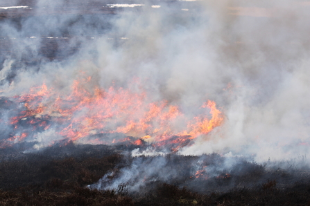 Smoke and flames rising from a fire on a hillside