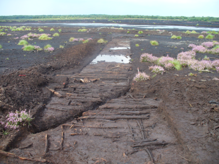 Track cut through bare soil with bits of vegetation on either side.