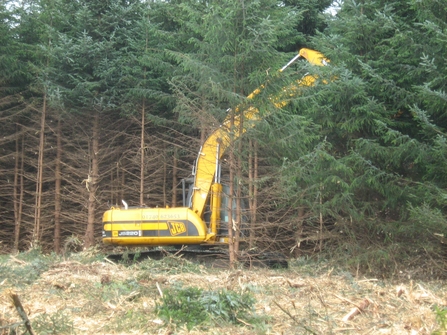 Forest to bog restoration. Credit YWT.