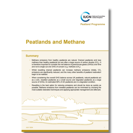 Front cover of Peatlands and Methane Briefing