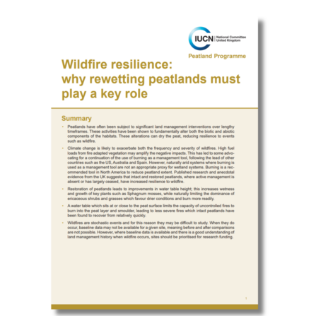 Front cover of Wildfire resilience publication
