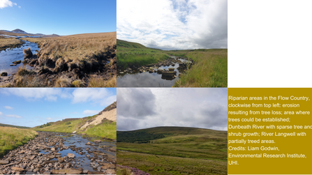 Riparian areas in the Flow Country. Credit Liam Goodwin.