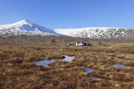 Rannoch Moor. Credit Lorne Gill, Scottish Natural Heritage.