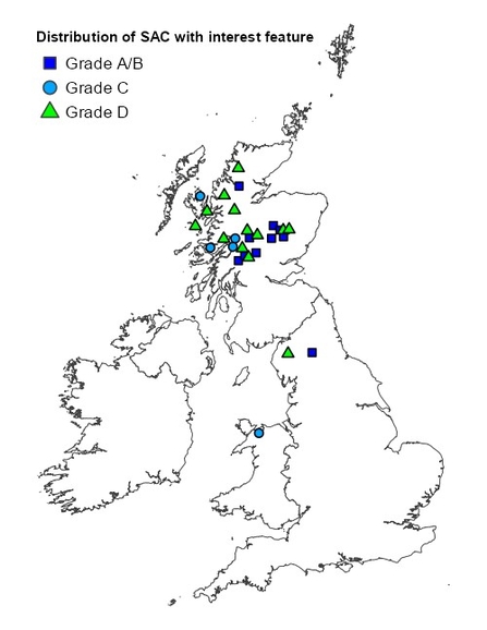 Distribution map of alpine pioneer formation type mires in the UK