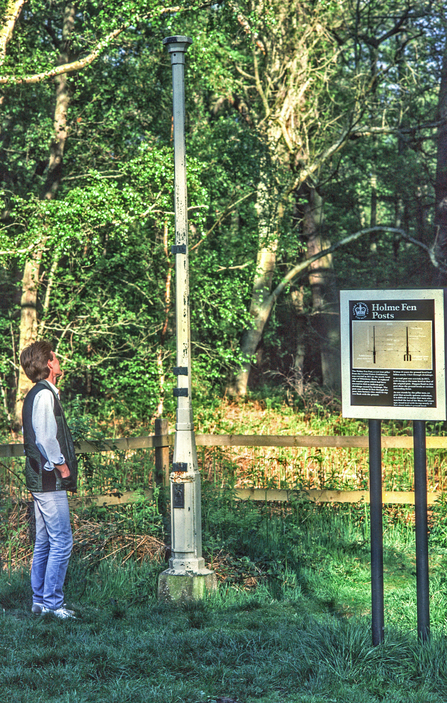 Person looking up at the Holme Fen post.
