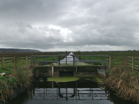 Internal drainage board channel in the Somerset Levels. 