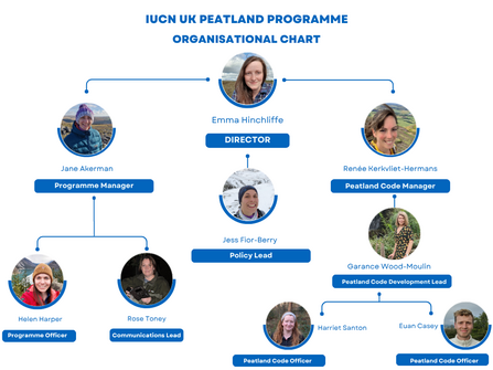 IUCN UK Peatland Programme organisational chart