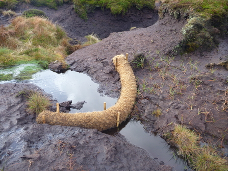 Coir log