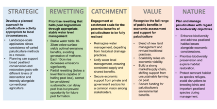 Coloured infographic highlighting the stages of developing paludiculture