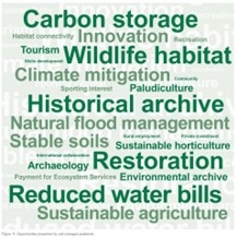 Word cloud with peatland benefits