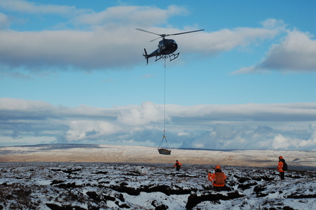 Peatland restoration with helicopters