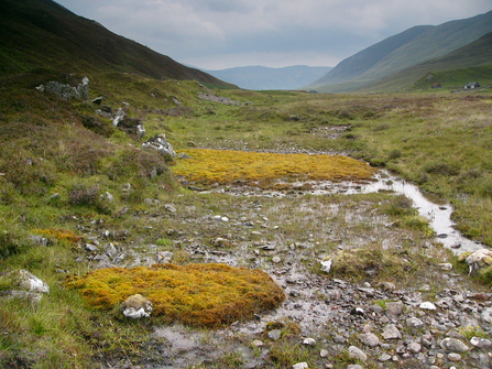 Percolation spring on a peatland
