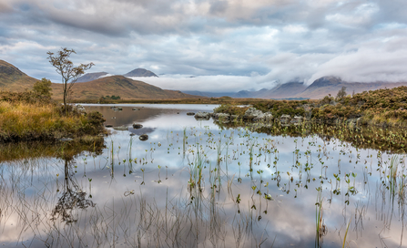 Landscape of blanket bog with water body in the centre of the picture and hills on either side.
