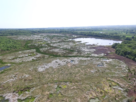 Aerial view of a raised bog covered in cotton grass with a large area of open water in the background.