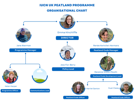 IUCN UK PP organisational chart