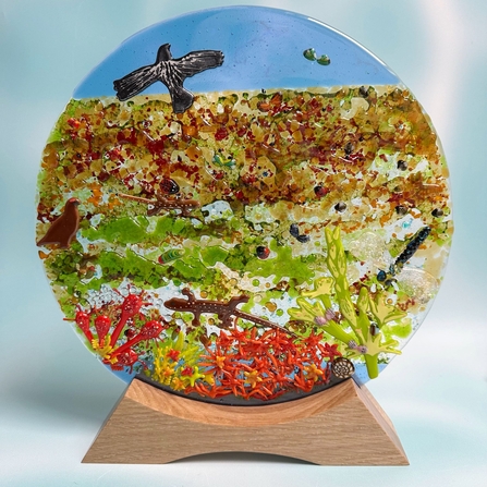 Flat glass sculpture depicting a peatland scene, with a hen harrier, red grouse, dragonfly, lizard, sundews and Sphagnum moss