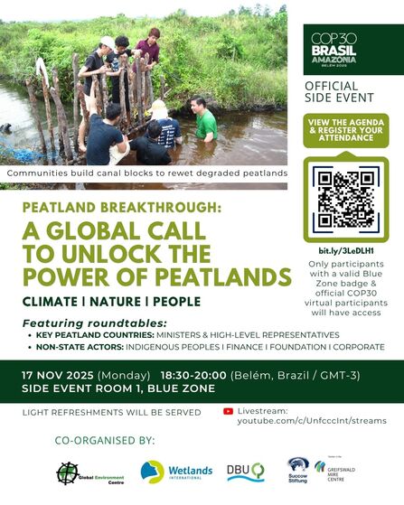 Flyer for the Peatland Breakthrough side event at COP30, featuring the logos of the co-organisers and a pciture of people in a brown waterway installing wooden stakes.