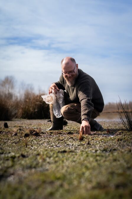 Person in outdoor clothing crouching down holding a bag of plug plants in one hand and pushing a plant into the ground with their other hand.