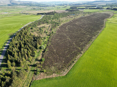 Aerial view of an oblong-shaped brown patch of land with a strip of conifer trees on one side and green fields on the other. There are visible drains running obliquely across it.