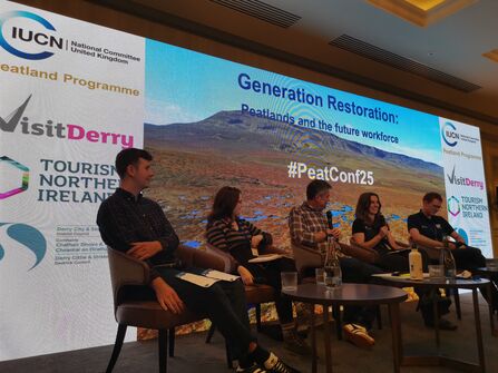 5 people sat in armchairs on a stage with a large screen behind them