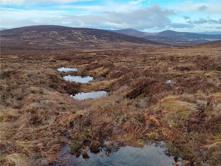 View of a series of dams with bog pools behind them on an area of moorland with hills in the distance.