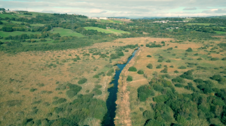 Crymlyn Bog National Nature Reserve, Swansea