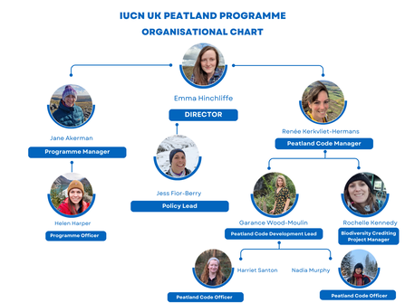 Organisational chart March 26