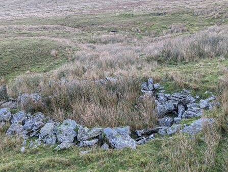 Ring of granite stones surrounding a patch of rushes.